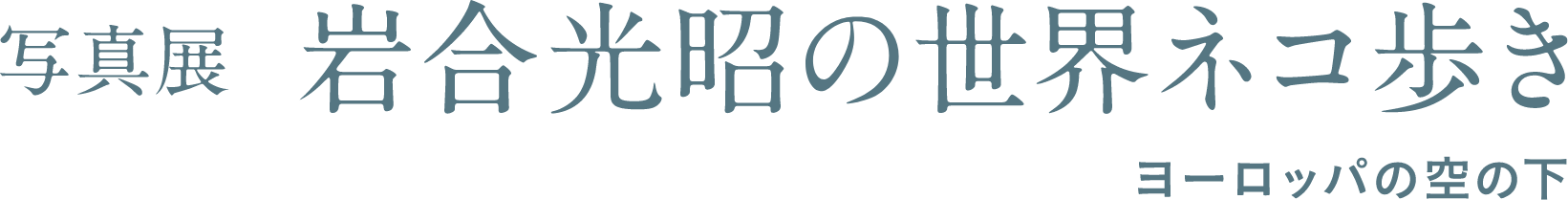 写真展 岩合光昭の世界ネコ歩き ヨーロッパの空の下