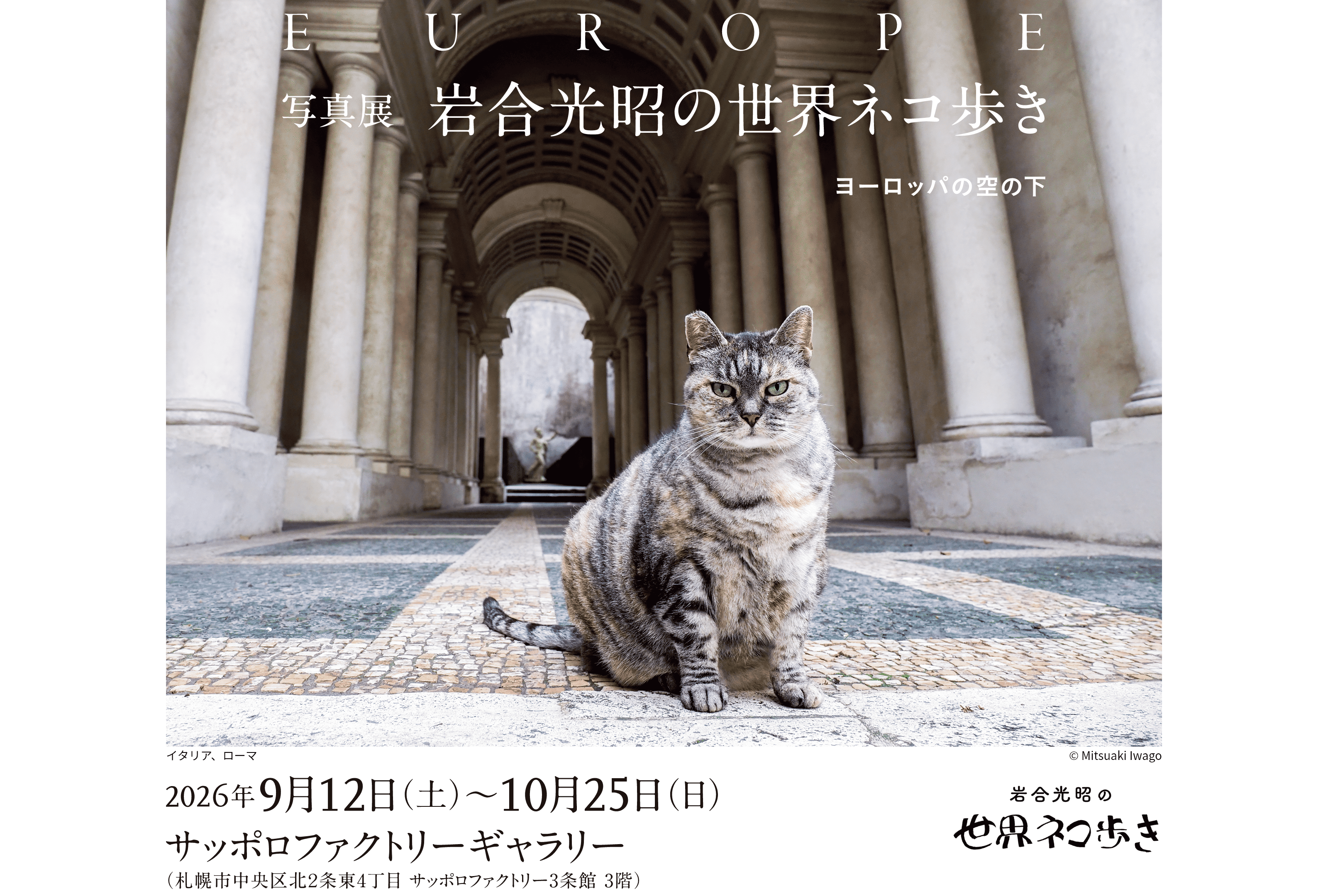写真展 岩合光昭の世界ネコ歩き 2026年9月12日～10月25日 サッポロファクトリーギャラリー