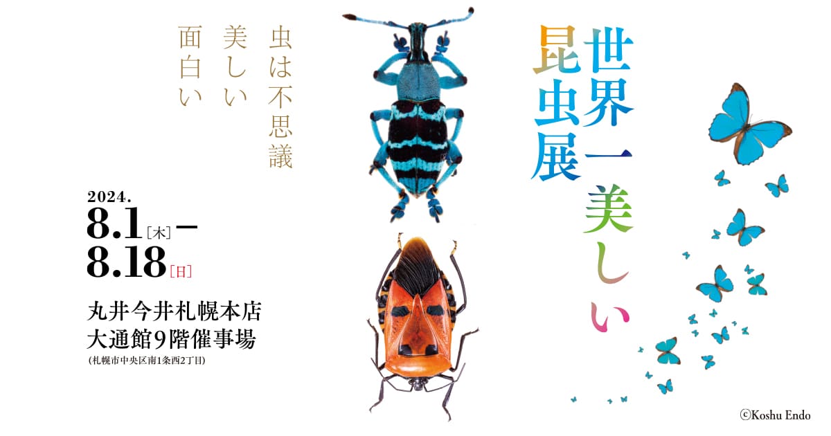 昆虫展 札幌 - 世界一美しい昆虫展示 | 丸井今井札幌本店